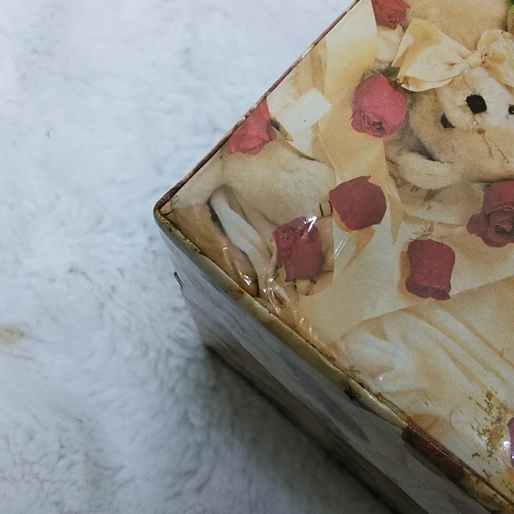 😻 4/$25 Teddy Bears & Roses Decorative Train Case